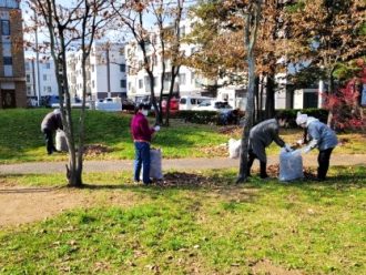 公園清掃（落葉拾い）