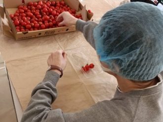 野菜ケース入り